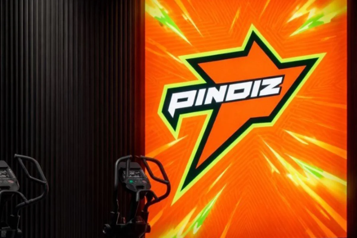 Pindiz Logo Reveal Ceremony