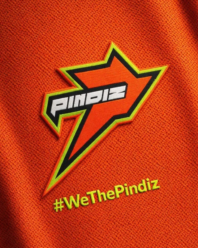 PindiZ Logo